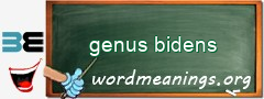 WordMeaning blackboard for genus bidens